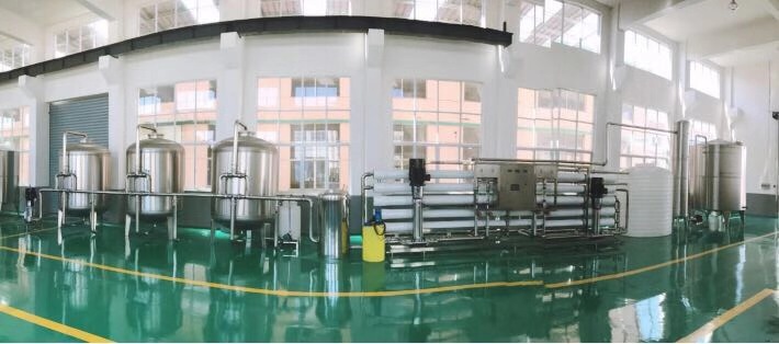 IMG_6593(20190823-130638) IMG_6593(20190823-130638)